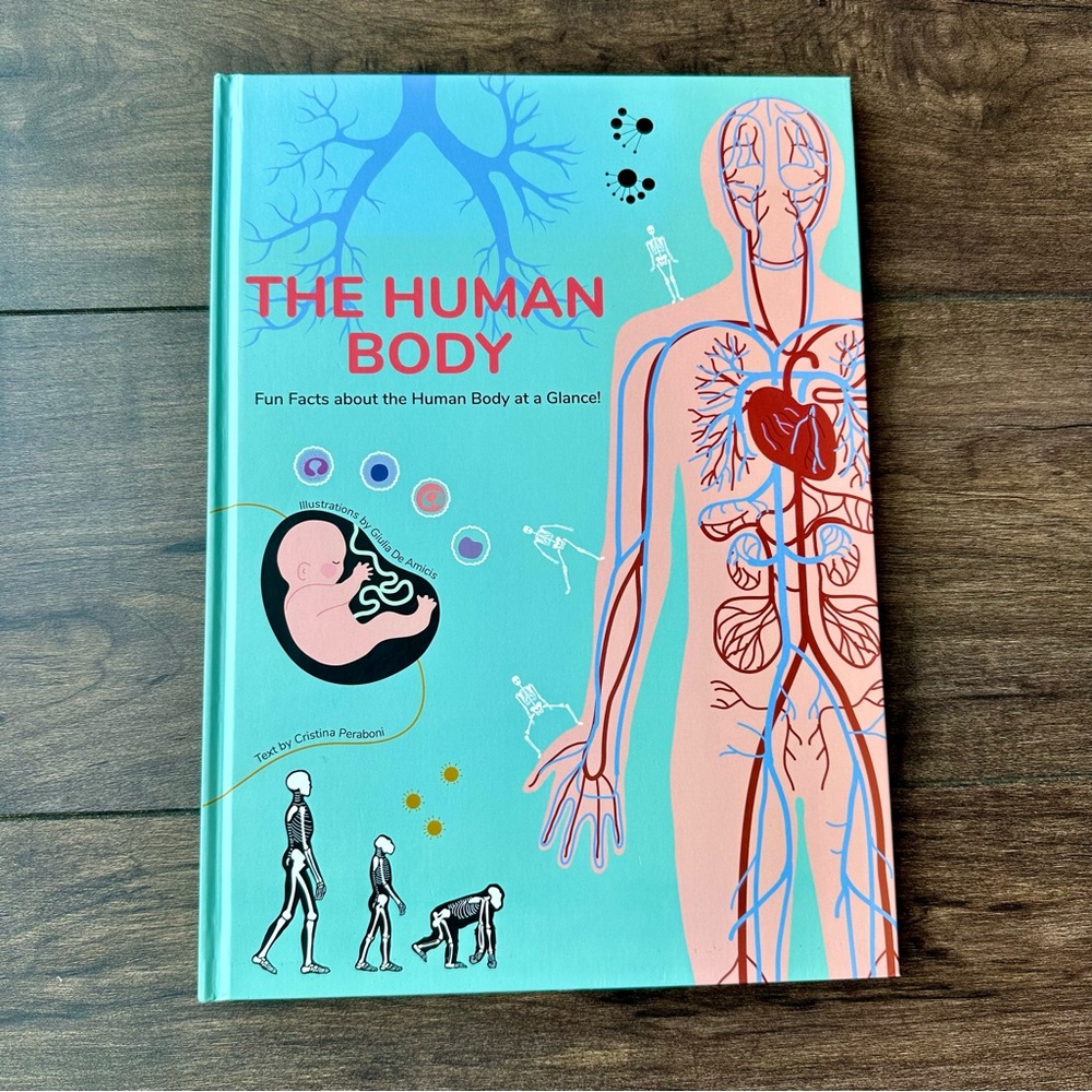 The Human Body: Fun Facts about the Human Body at a Glance - Hardcover book